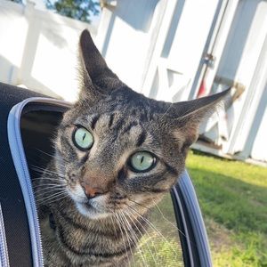 Meet your Posher, Bradley